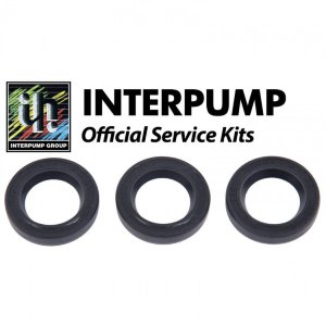 Ремкомплект Interpump Kit 83