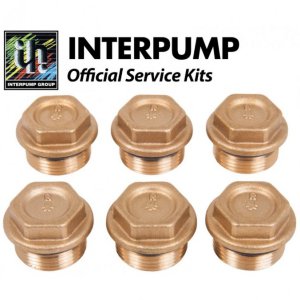 Ремкомплект Interpump Kit 84